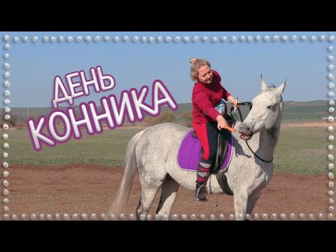 Видео: МОЙ КОННЫЙ ДЕНЬ | Как проходит тренировка с Медеей?