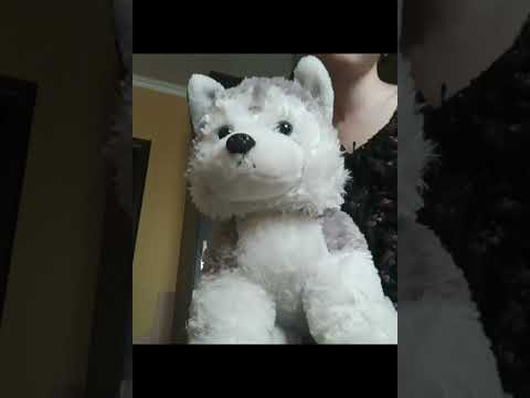 Видео: влог дня с дикси!🐾 [прогулка в зоопарк,лес]-plush dixie🐾