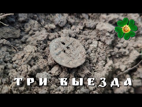 Видео: Поле
