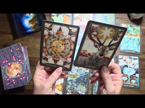 Видео: ТЕЛЕЦ ♉️ ПОЗВОЛЬТЕ МНЕ ПОКАЗАТЬ ВАМ, КТО НА САМОМ ДЕЛЕ ВАШ БЛИЗНЕЦОВЫЙ ПЛАМЯ. 🔥