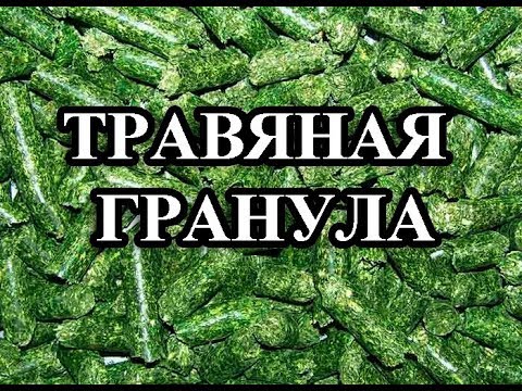 Видео: Кормление кроликов: Травяные гранулы