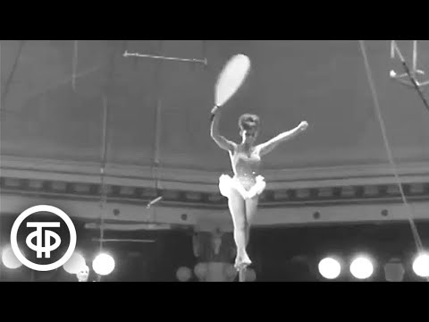 Видео: Товарищ цирк. О традиции советского циркового искусства (1968)