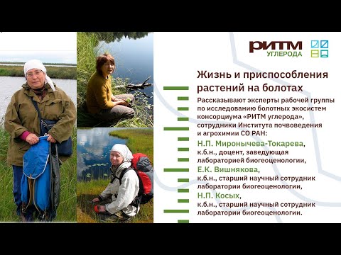 Видео: Лекция 3. Жизнь и приспособления растений на болотах. Миронычева-Токарева Н.П. и др.