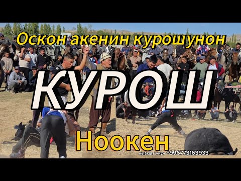 Видео: Оскон аке күрөш берди  кучтуу балбандар келди