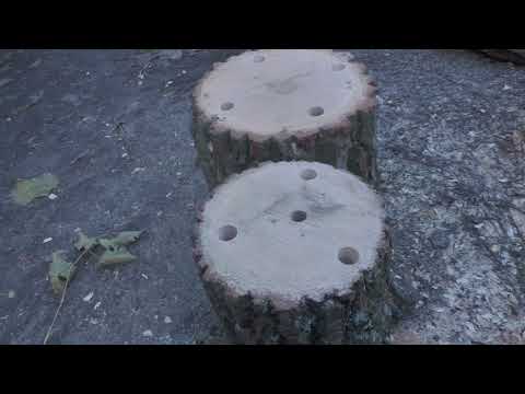 Видео: Приз за точну відповідь.