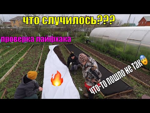 Видео: ЛАЙФХАК ДЛЯ ОГОРОДА ВЫЗВАЛ 🔥  / Семейные Посиделки