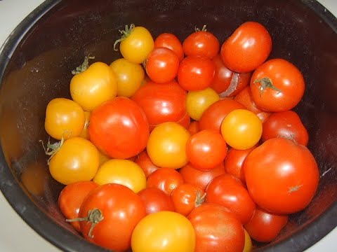 Видео: Хреновина. Маринкины творинки. Всем МИРА и Добра!