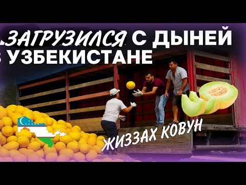 Видео: Загрузился С ДЫНЕЙ В ЖИЗЗАХЕ /В УЗБЕКИСТАНЕ/ЕДУ С ПЕРЕГРУЗОМ 🤯