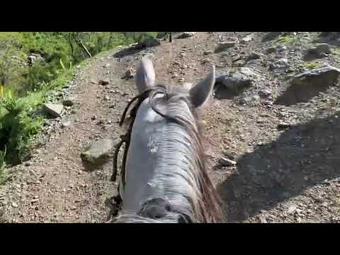 Видео: Аксы Жаны-Жол жайлоосу