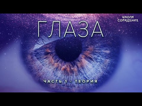 Видео: Глаза.Часть1 #Глаза  #Устройство_Глаз #глаза #Радужка #Весталия #школаСорадение