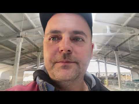 Видео: Минская обл.д Паставичи.наши старание .