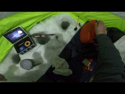 Видео: РЫБА ОЗВЕРЕЛА..Руки таскать устали.