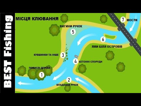 Видео: Як знайти рибу на незнайомій річці Топ 5 місць стоянки риби на річці!