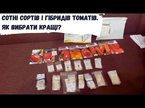 Видео: Сотні сортів і гібридів томатів. Як вибрати кращі?