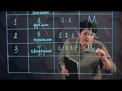 Видео: Ядерный магнитный резонанс. 4 часть. 10 класс.