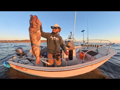 Видео: Рыбалка на закате в одиночку | Поймай и приготовь для моей собаки