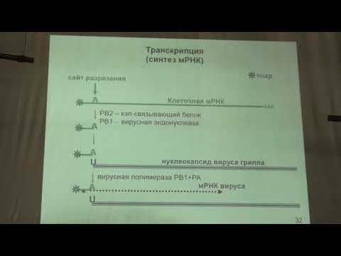 Видео: Карпова О. В. - Вирусология - 6. Семейство Retroviridae