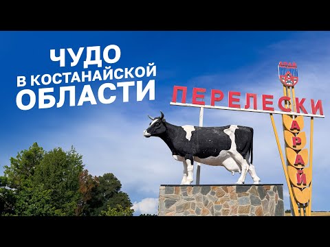 Видео: Уютный поселок в Костанайской области. Перелески #казахстан