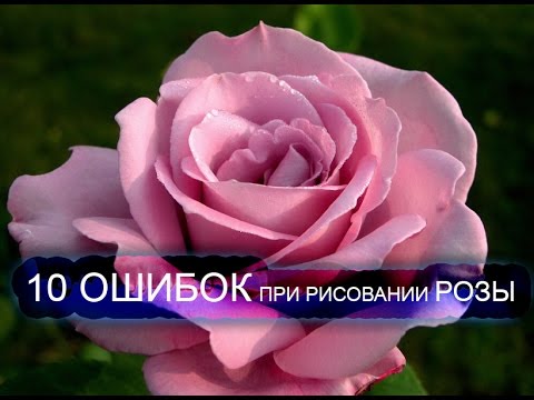 Видео: Рисование розы. 10 основных ошибок