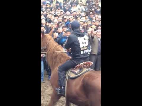 Видео: Нұржан Төлендиев.Дөнен Бақыт ағамыздың көкпарында. Тука. Нуржан Толендиев. Кокпар