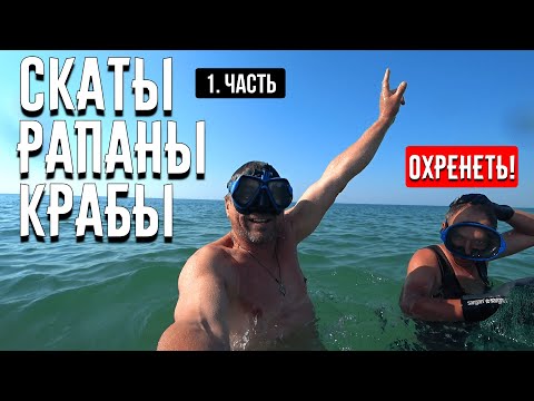 Видео: Как копать морского червя? Ловим краба и рапана / Лазурное  Черное море