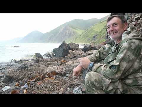 Видео: Сахалинские хроники 2023 часть 2 Пеше-морской поход на маяк Анива