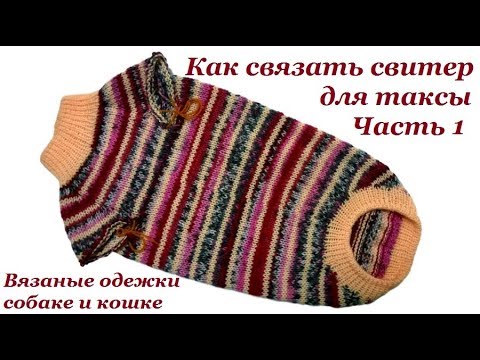 Видео: 10 Как связать свитер для таксы. Часть 1