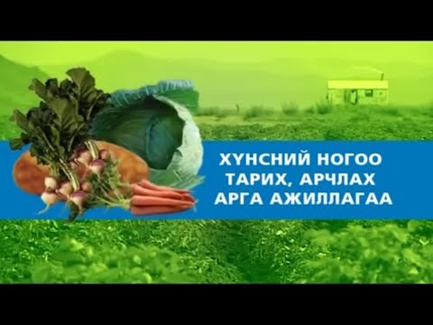 Видео: "Хүнсний ногоо тарих арчлах арга ажиллагаа" зөвлөмж