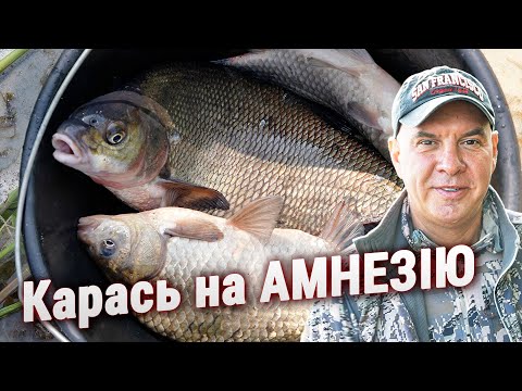 Видео: Ловля КАРАСЯ та ЛЯЩА на Дикій Річці