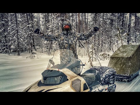 Видео: Новая экипировка ЛЕСНОГО...Комбинезон King Hunter AGRESSOR.