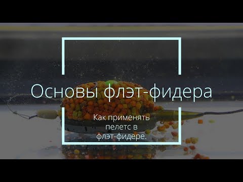 Видео: Как применять пелетс в флэт фидере.