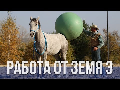 Видео: Работа от Земя - Обучителна Програма АДГОР 3