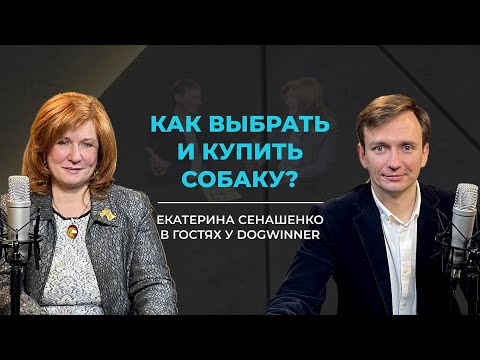 Видео: Как выбрать и купить собаку? Екатерина Сенашенко в гостях у DogWinner