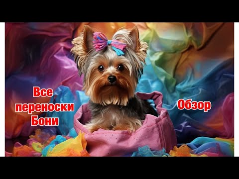 Видео: Все переноски моей собаки // Обзор переносок для самолёта и для прогулок