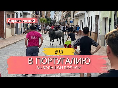Видео: В Португалию за большой волной — бык на улицах города