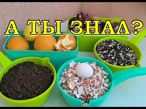 Видео: Кухонные отходы: НЕ ВЫБРАСЫВАЕМ, СОБИРАЕМ☝☝☝