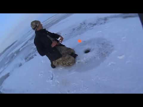 Видео: первый лёд на самаркандском, Караганды,Темиртау.нырнул за судаком,а девольт вырулил.