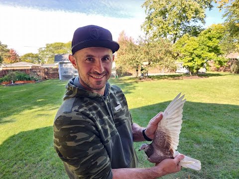 Видео: Интервью Эмиля Пекутовски с Alfa Loft на съезде AU 2025