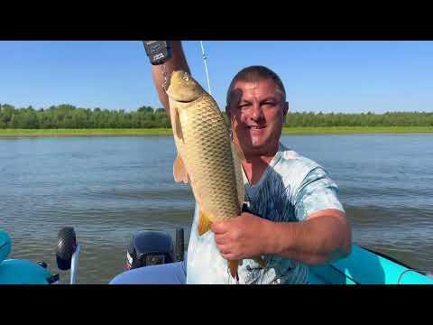 Видео: Поймали и Пожарили много рыбы на большой сковороде для вкусного ужина