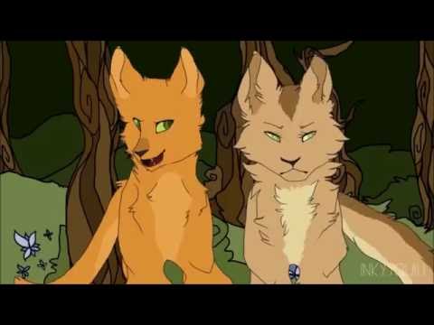 Видео: Огнезвёзд и Песчаная Буря-Навернопотомучто