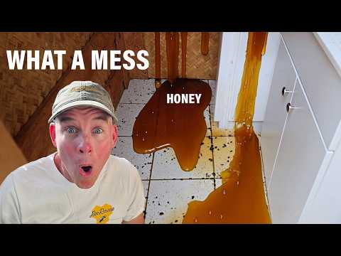 Видео: У них по стенам капал мед!