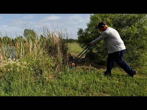Видео: Триммер-газонокосилка DR Power облегчила работу в этом заросшем пруду