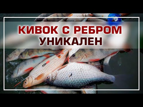 Видео: Кивок с ребром жесткости, суперновинка!