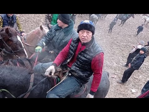 Видео: Қазығұрт ауданы Сарыүйсін Ғани атамыздың той көкпары🔥🚘1-бөлім #кокпар #көкпарәлемі