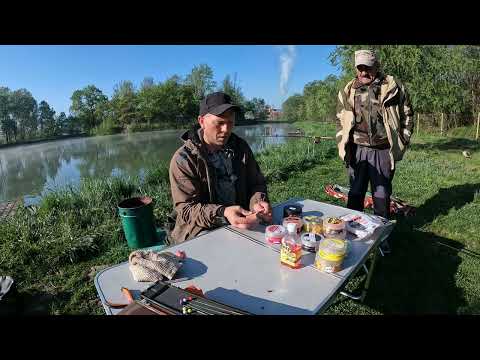 Видео: РЫБАЛКА НА КАРПА... с.НИЖНЕБАКАНСКАЯ БАЗА "АПОКА" ЛОВИМ КАРПА НА ПЕЛЕЦ...