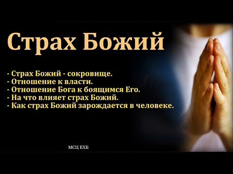 Видео: Что такое страх Божий? А. Ю. Шлетгауэр. МСЦ ЕХБ.