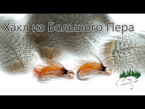 Видео: Как Из Большого Пера Куропатки Сделать Хакл на Мелкий крючок? Работа с пером Куропатки.