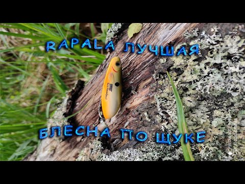 Видео: На ЭТУ блесну щука клюёт всегда!!!