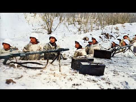 Видео: Уникальная кинохроника Битвы за Великие Луки (1942-1943)