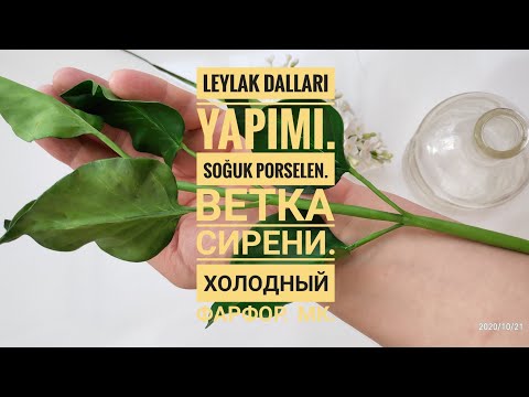 Видео: Leylak dalları yapımı.  Soğuk porselen.  🌺 Ветка сирени.  Холодный фарфор.